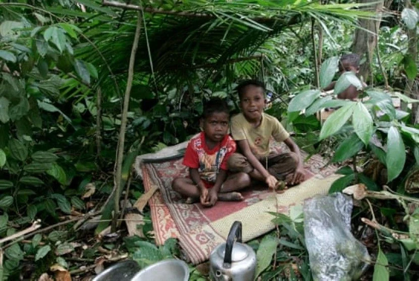 hutan terlarang di malaysia