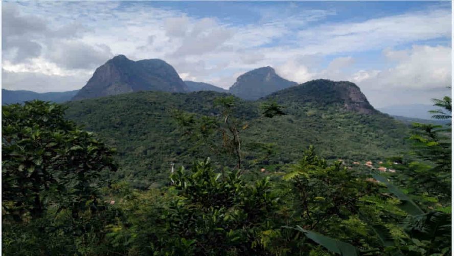 Hutan Gunung Lembu