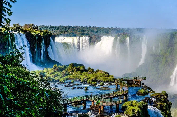 Hutan Terbaik di Negara Brazil
